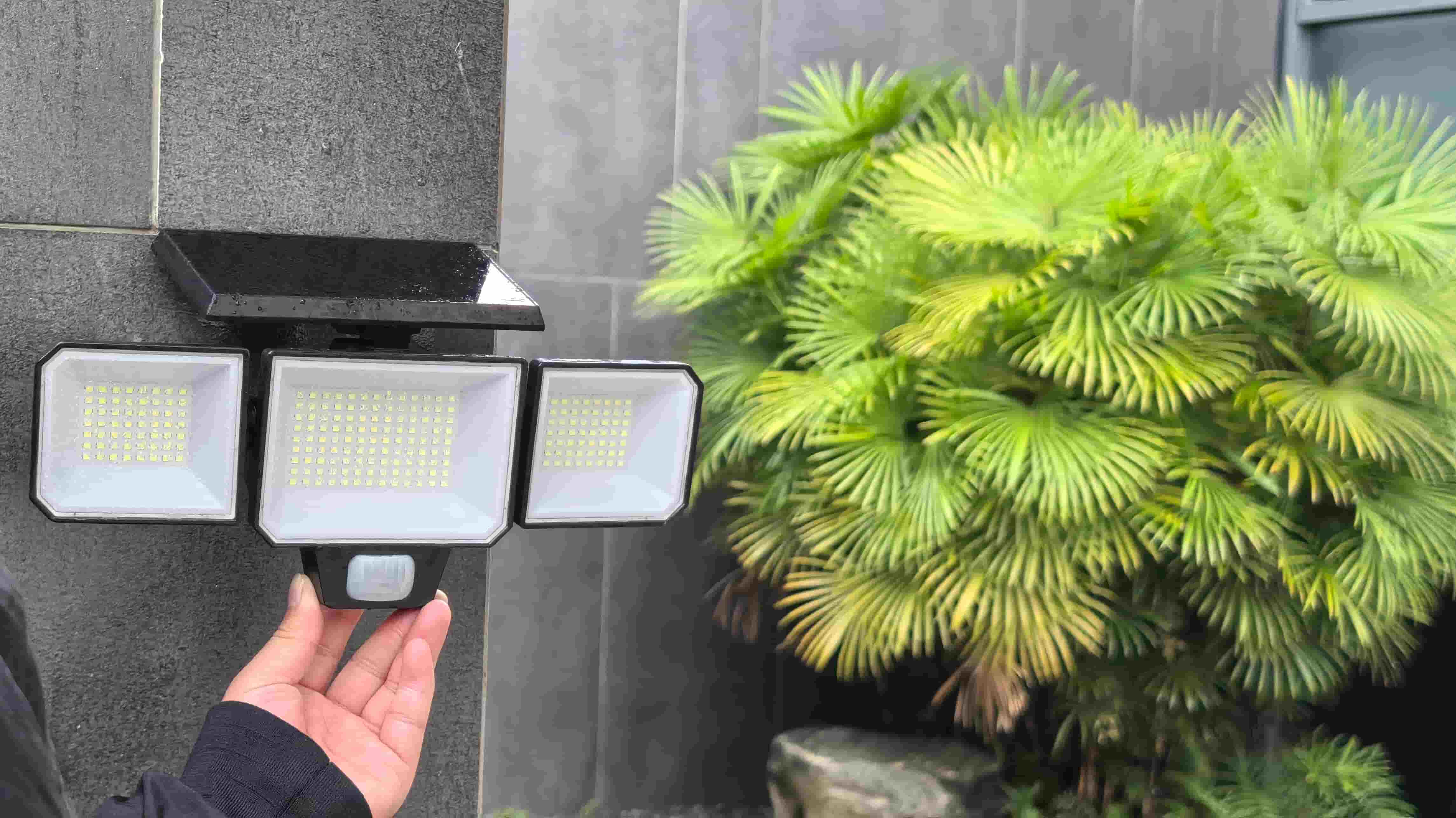 Outside Solar Light Buying Guide: How to Choose the Best Solar Lights for Your Yard