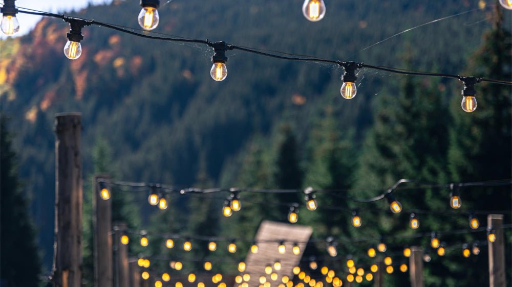 beautiful solar fence lights