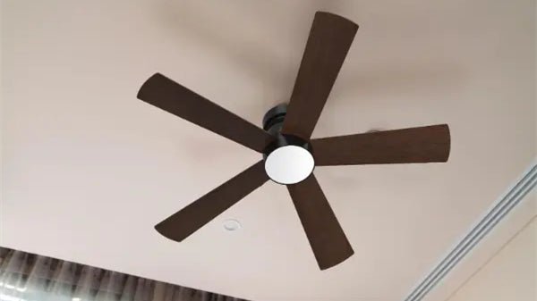 ceiling fans with lights