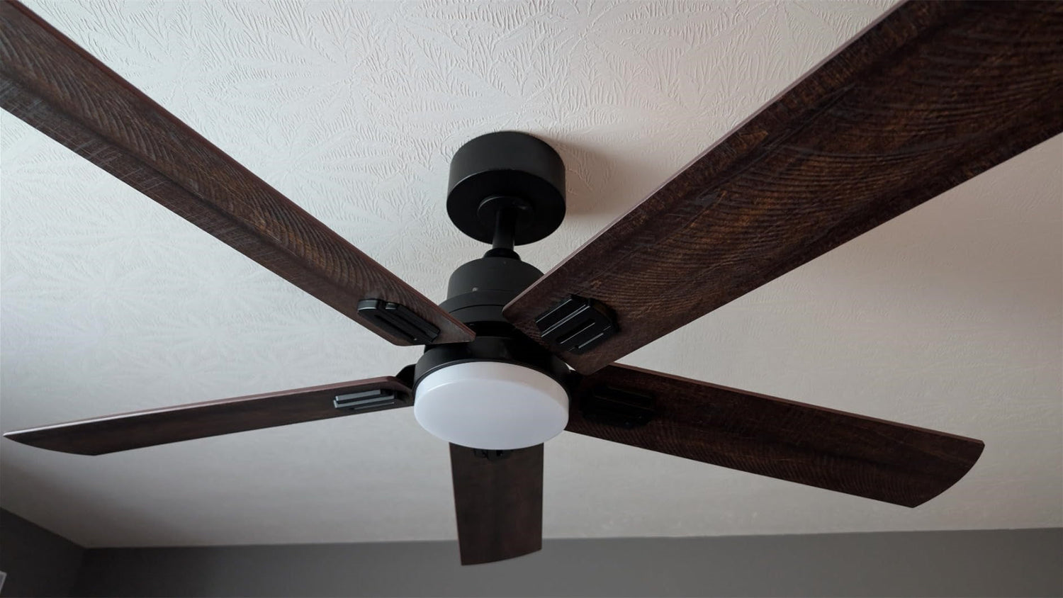 modern ceiling fan with light