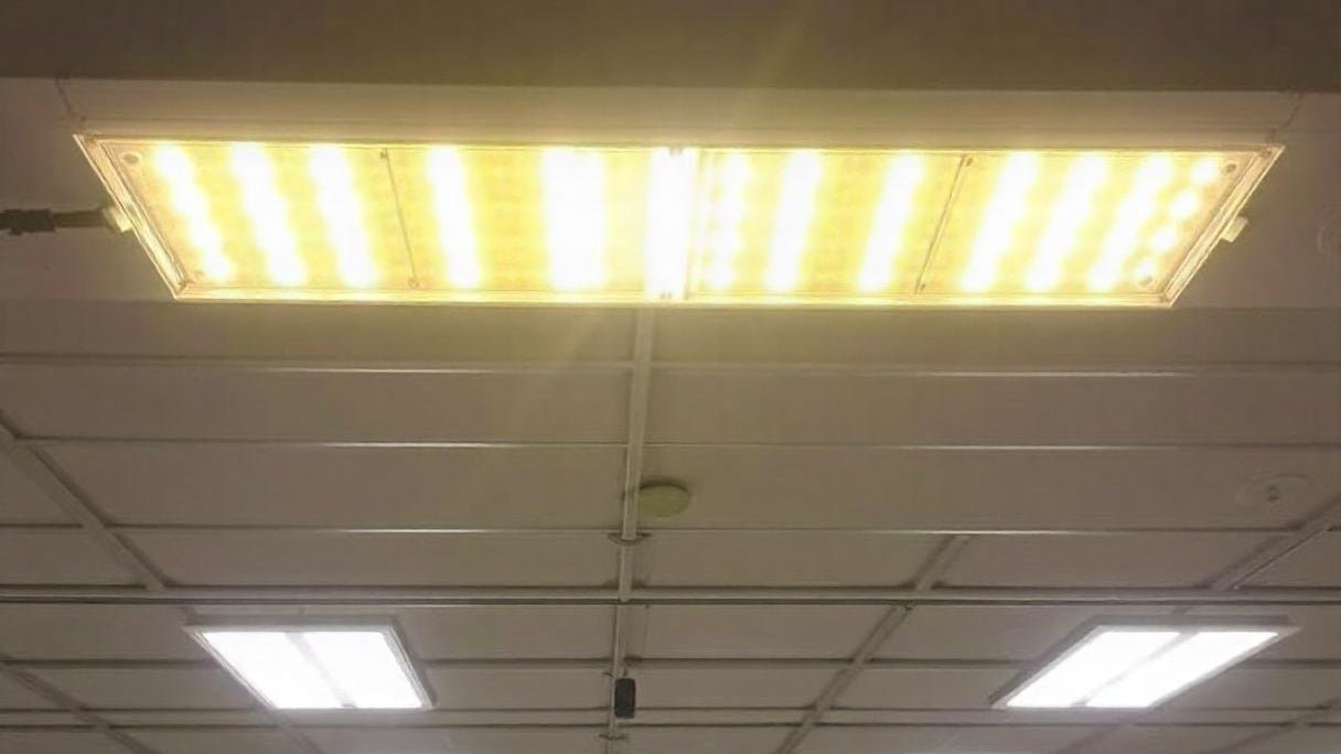 4ft led light