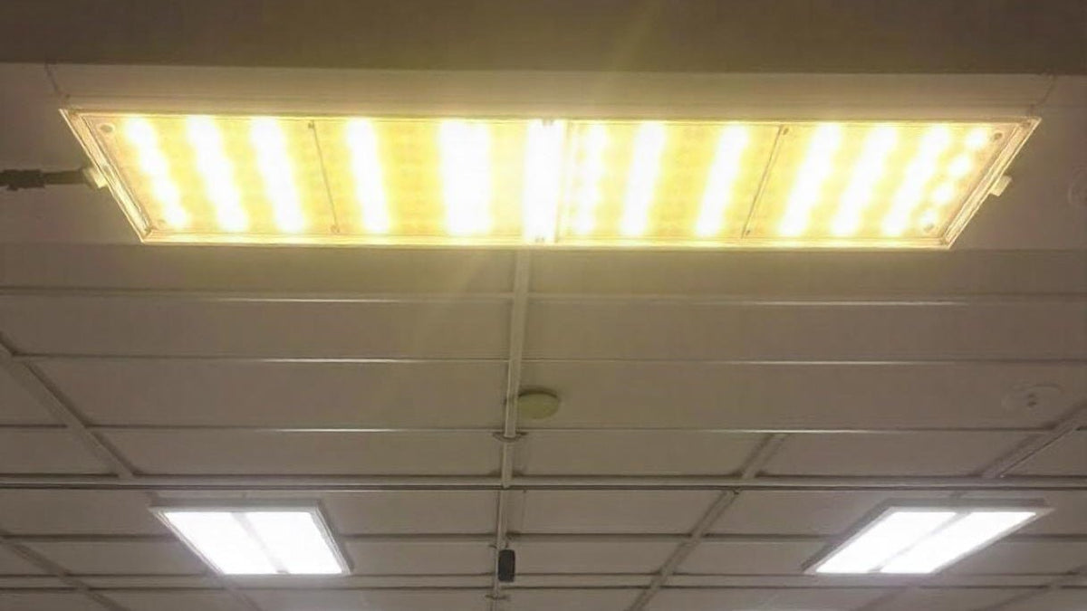 Is It Cheaper To Leave LED Lights On All The Time?