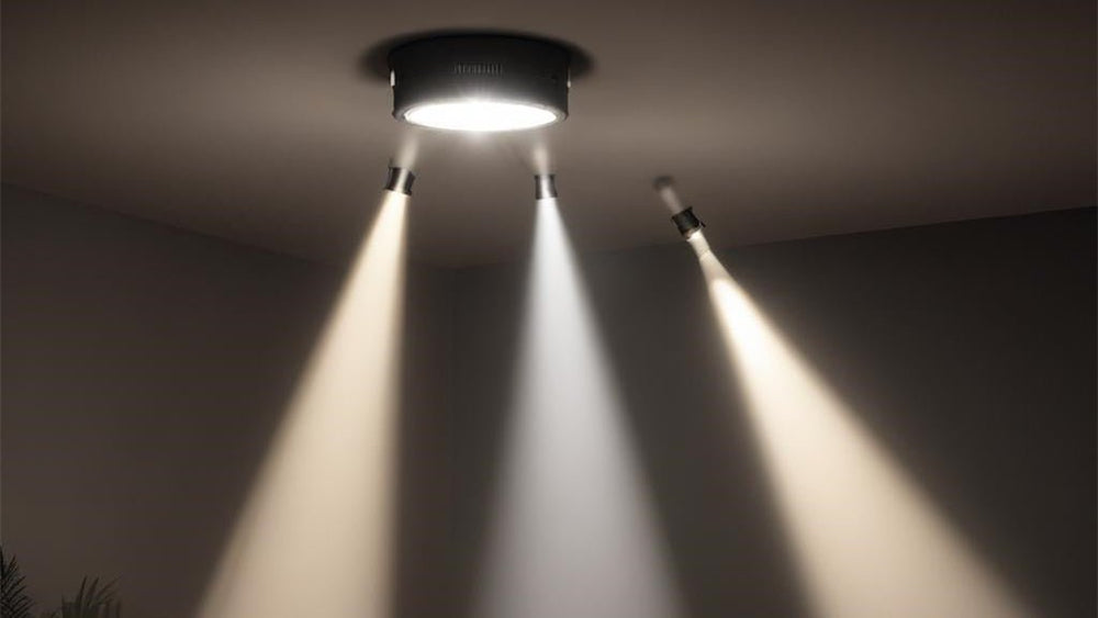 The Rising Popularity Of Spot Light: A Comprehensive Look